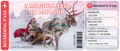 Surprise Lapland Tickets